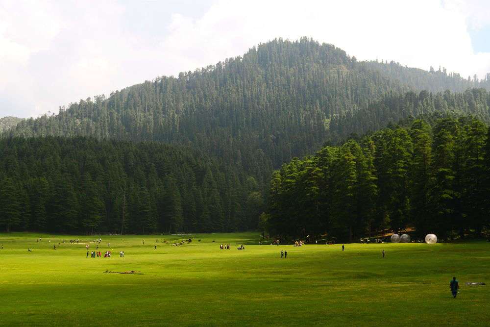 DALHOUSIE