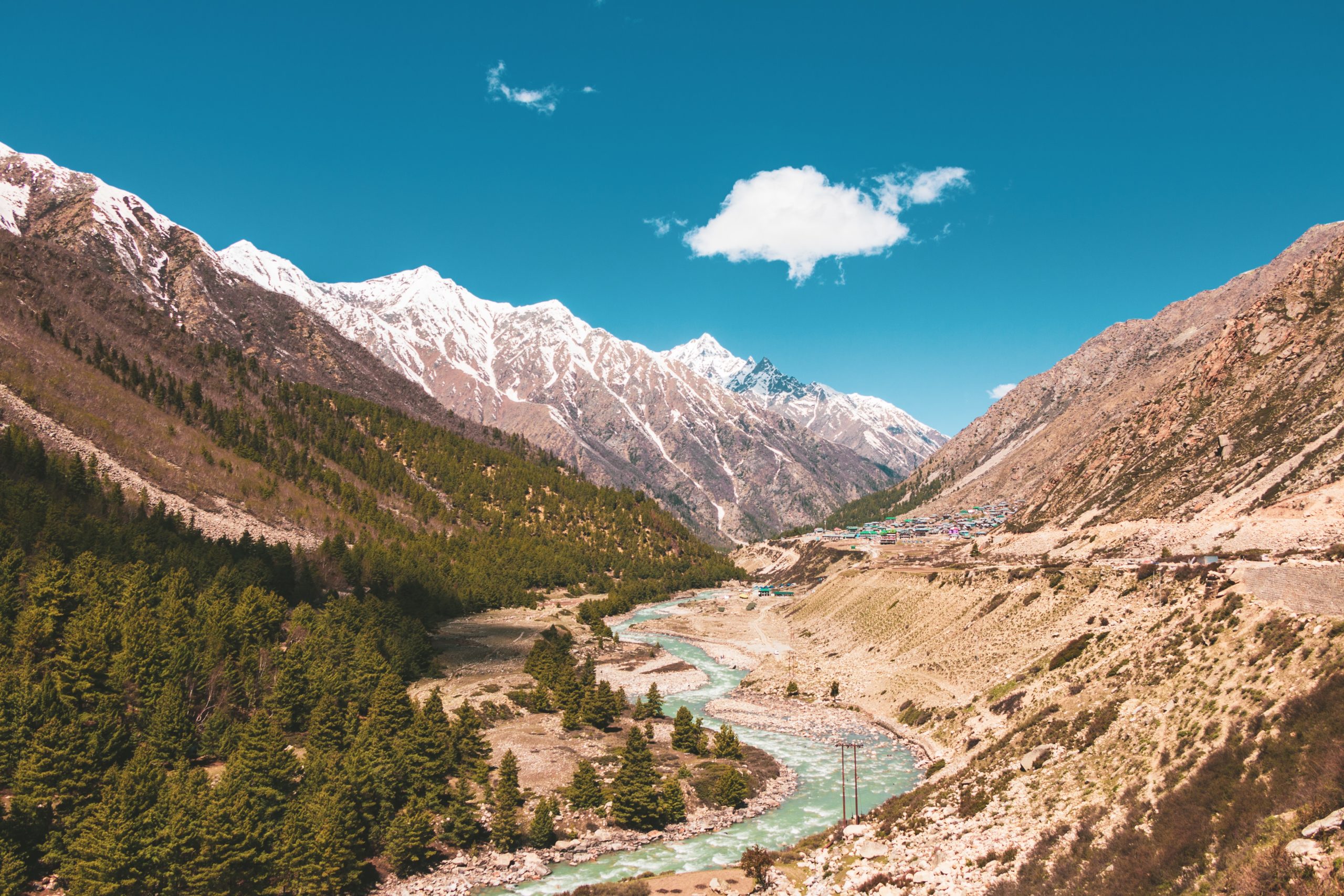 CHITKUL